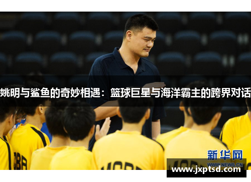 姚明与鲨鱼的奇妙相遇：篮球巨星与海洋霸主的跨界对话